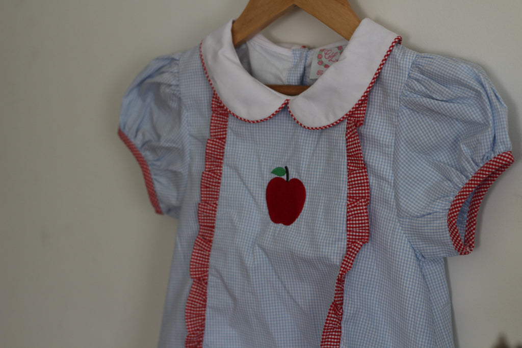 A Cecil and Lou children's short-sleeve dress hanging on a wooden hanger against a plain wall. The dress has a light blue and white gingham pattern, a white Peter Pan collar with red trim, red-and-white gingham trim down the front and on the sleeve cuffs, and a red apple applique on the chest.