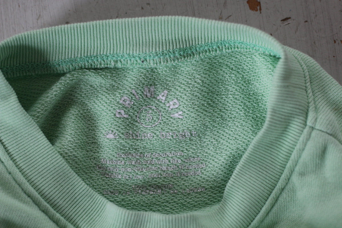 Primary Kids French Terry Sweatshirt with Embroidered Heart in Mint- size 5